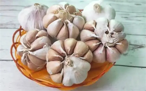 图片细节